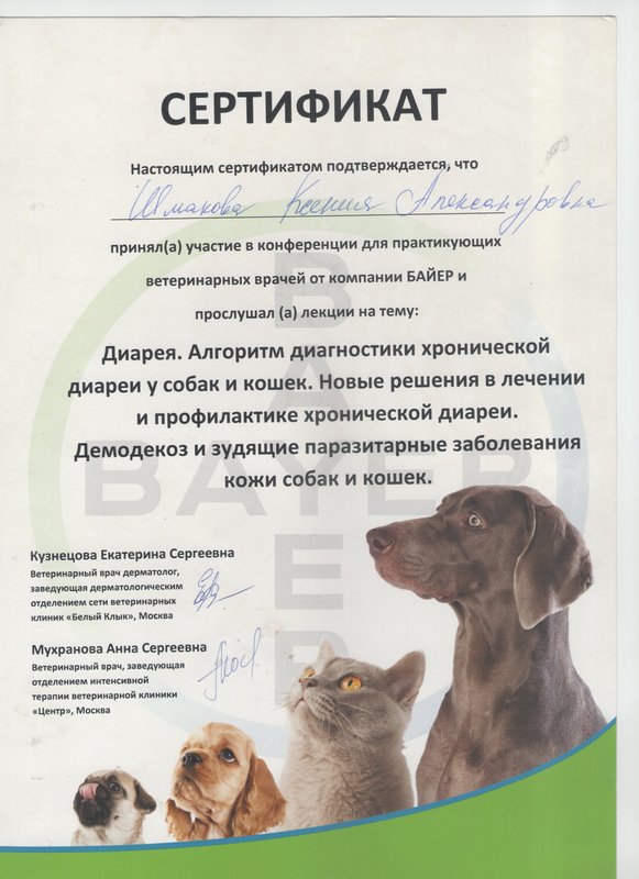 Документ или сертификат