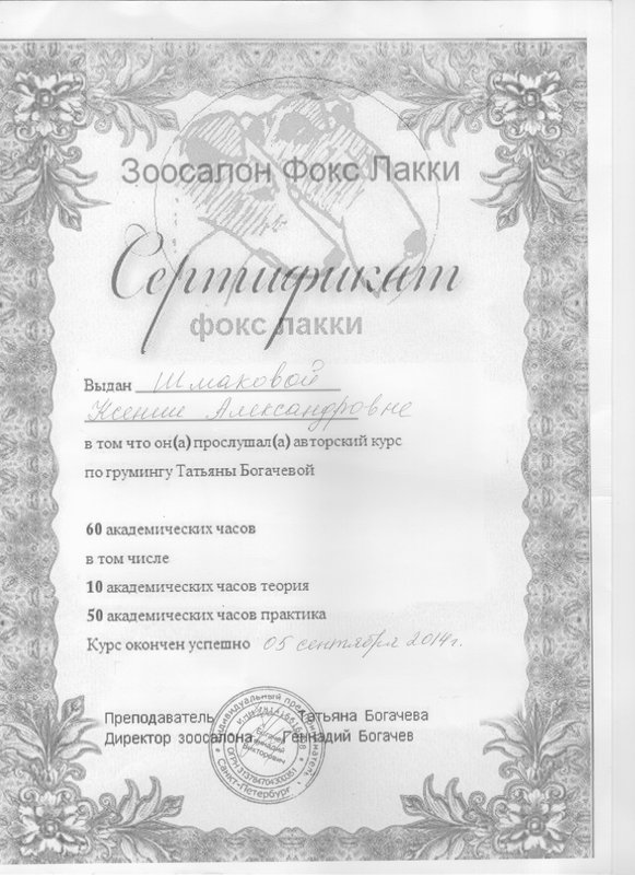 Документ или сертификат