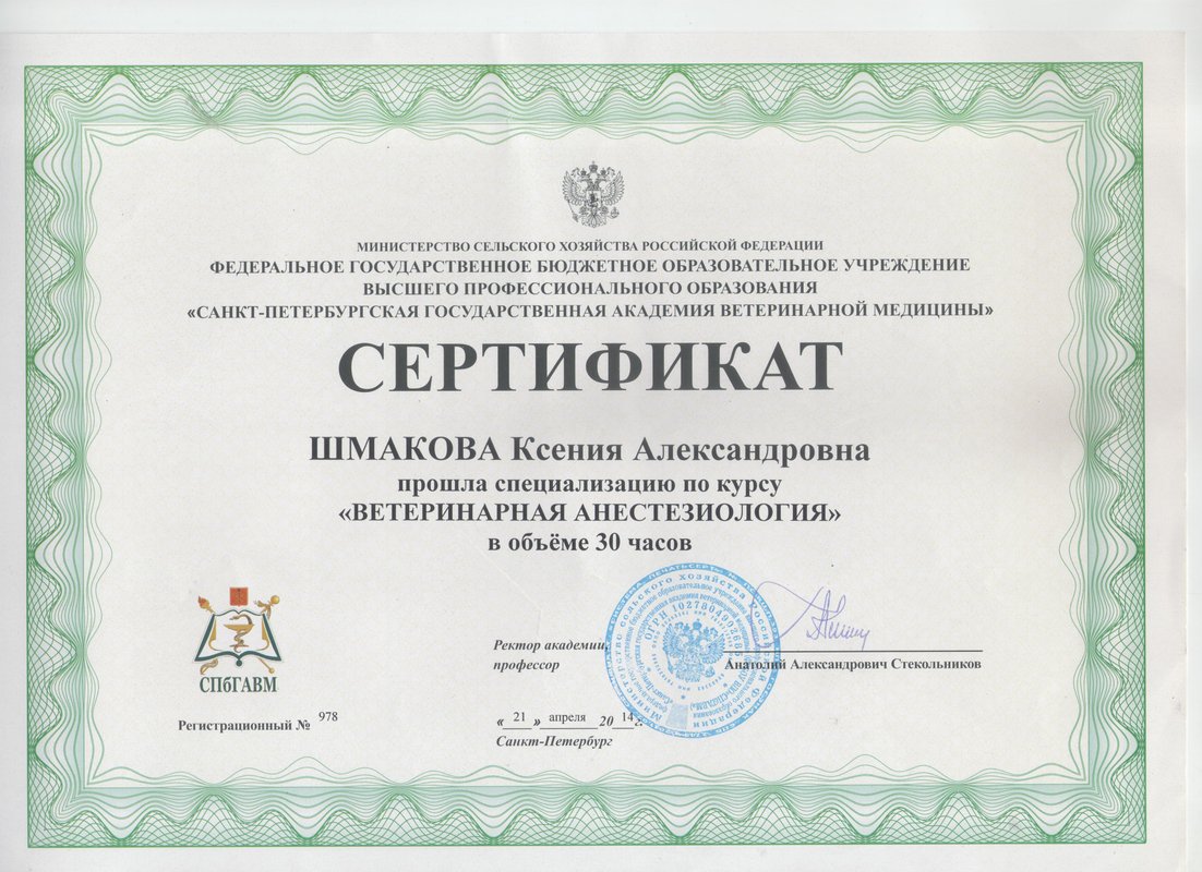 Документ или сертификат