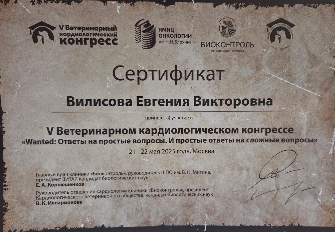 Документ или сертификат