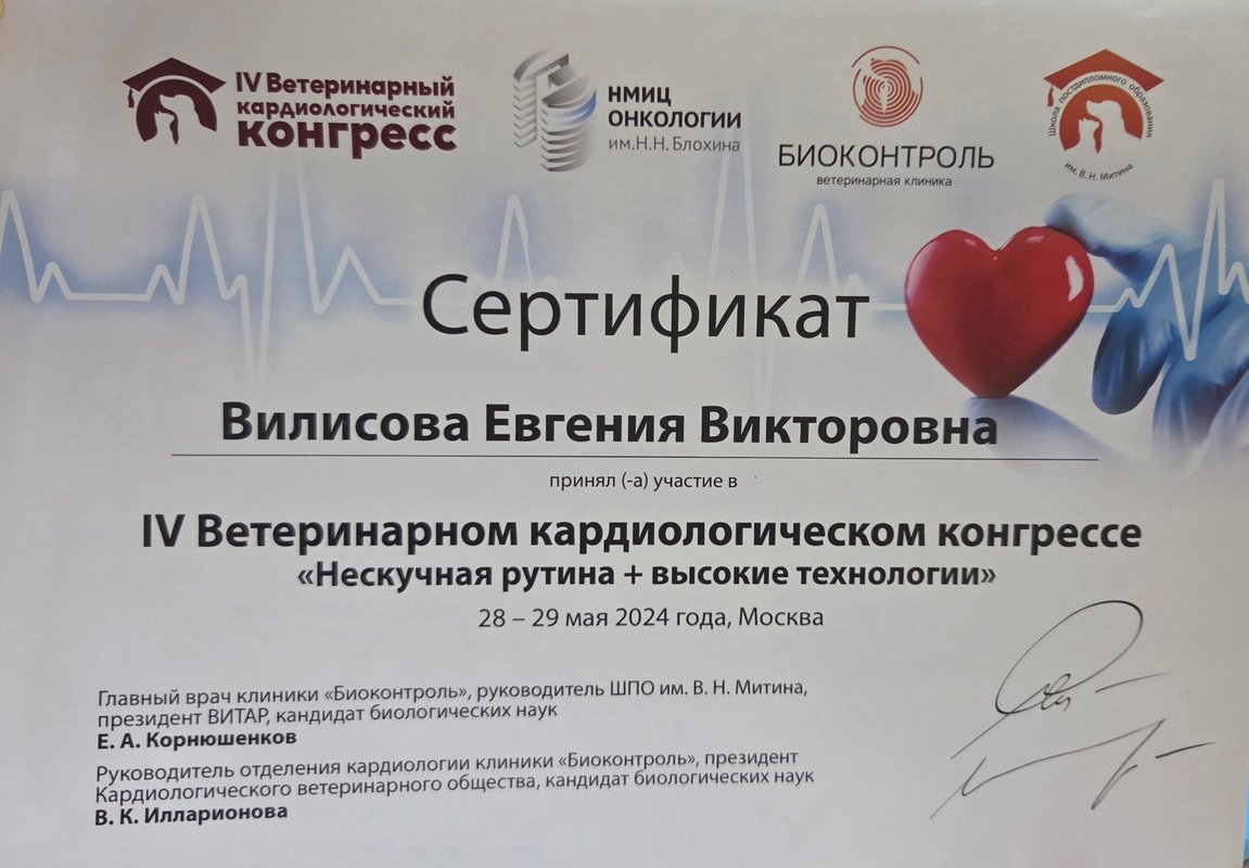 Документ или сертификат
