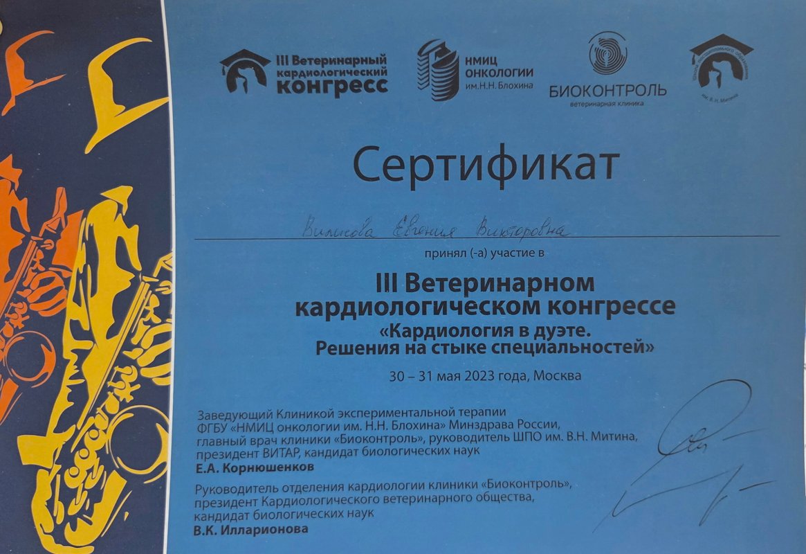 Документ или сертификат
