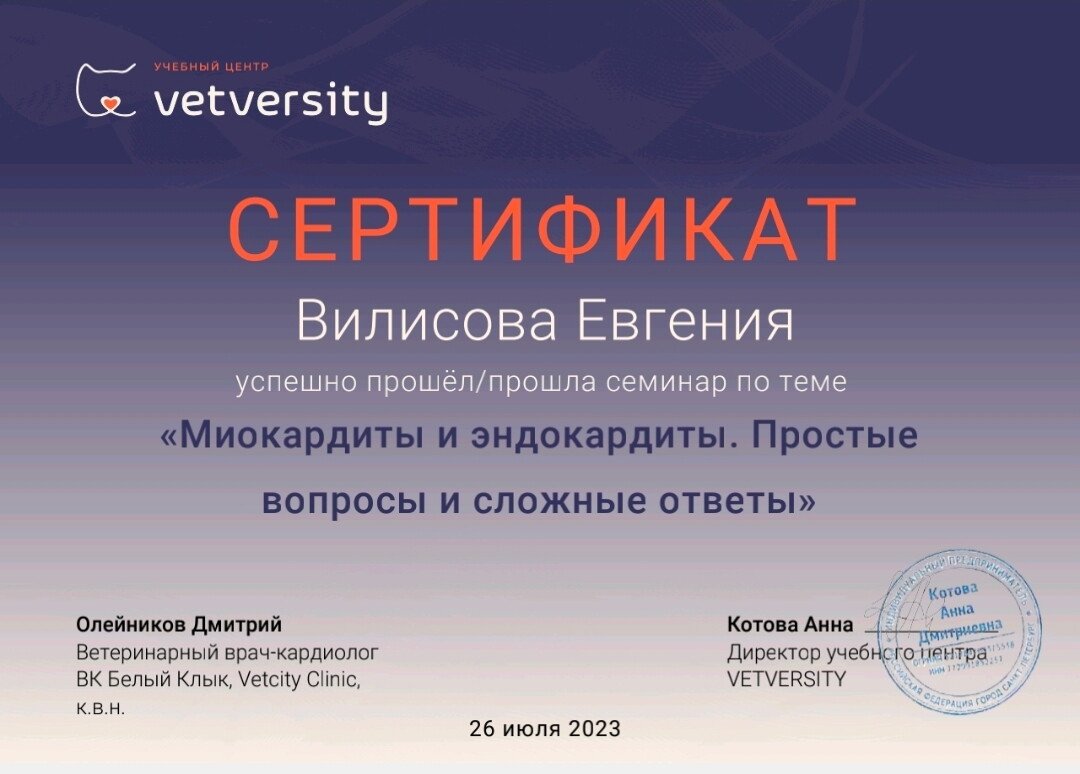Документ или сертификат