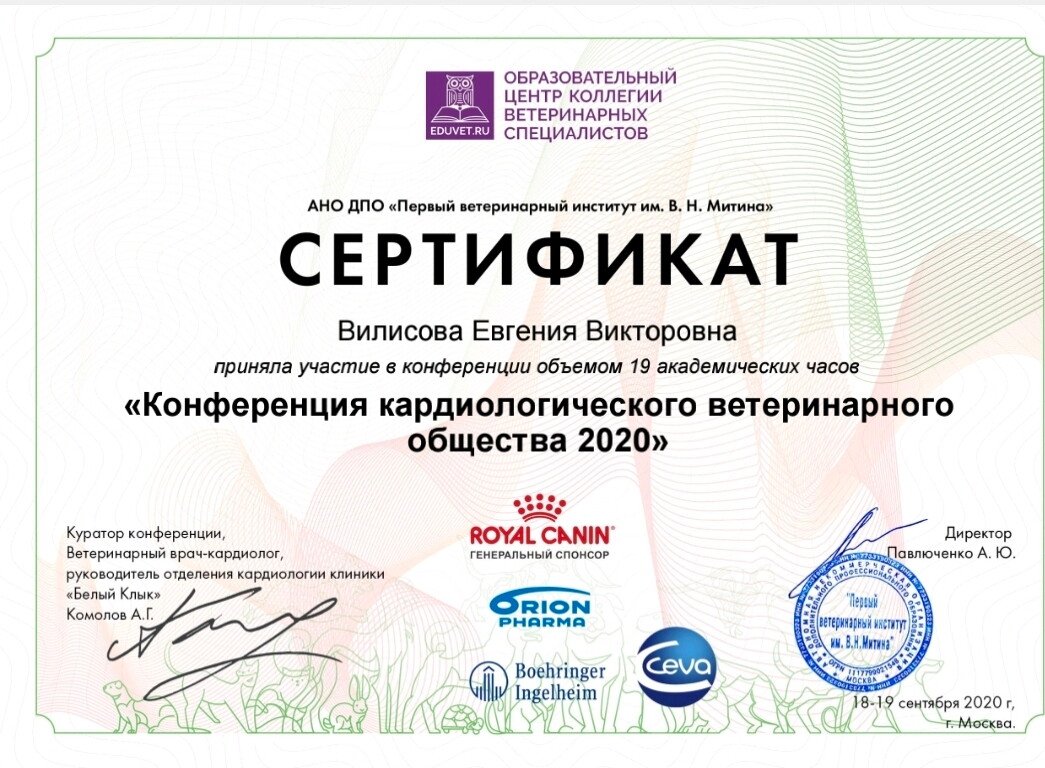 Документ или сертификат