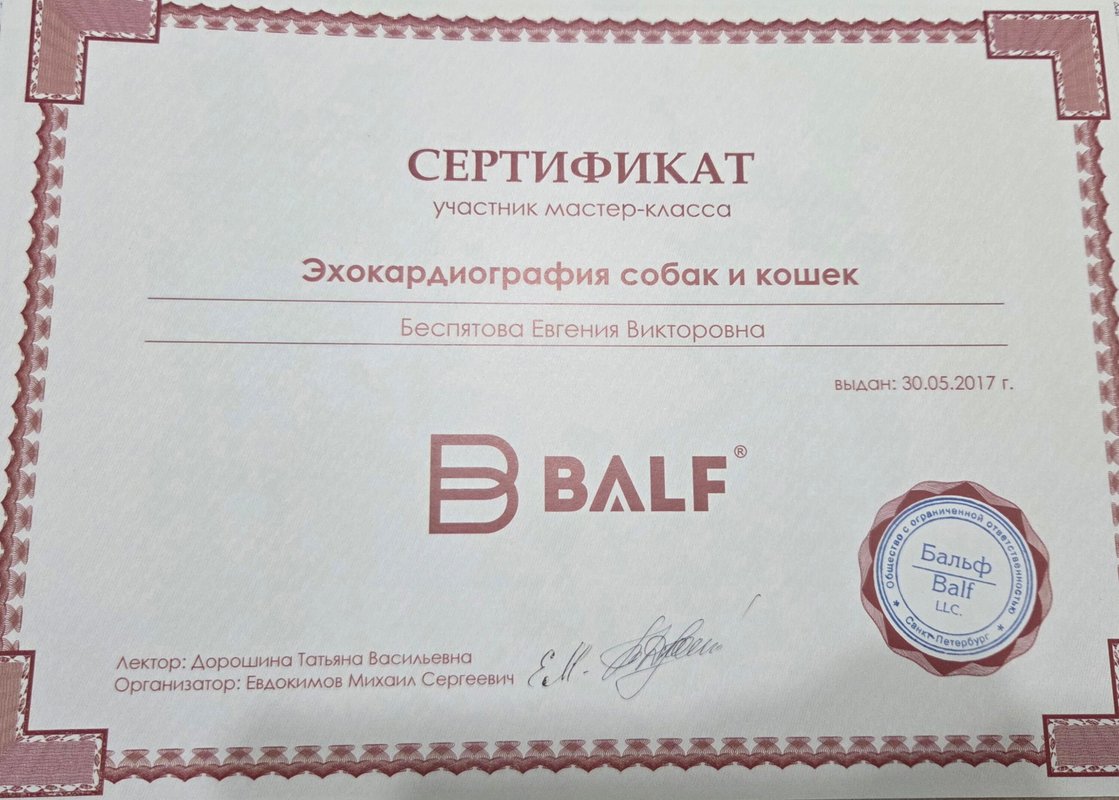 Документ или сертификат