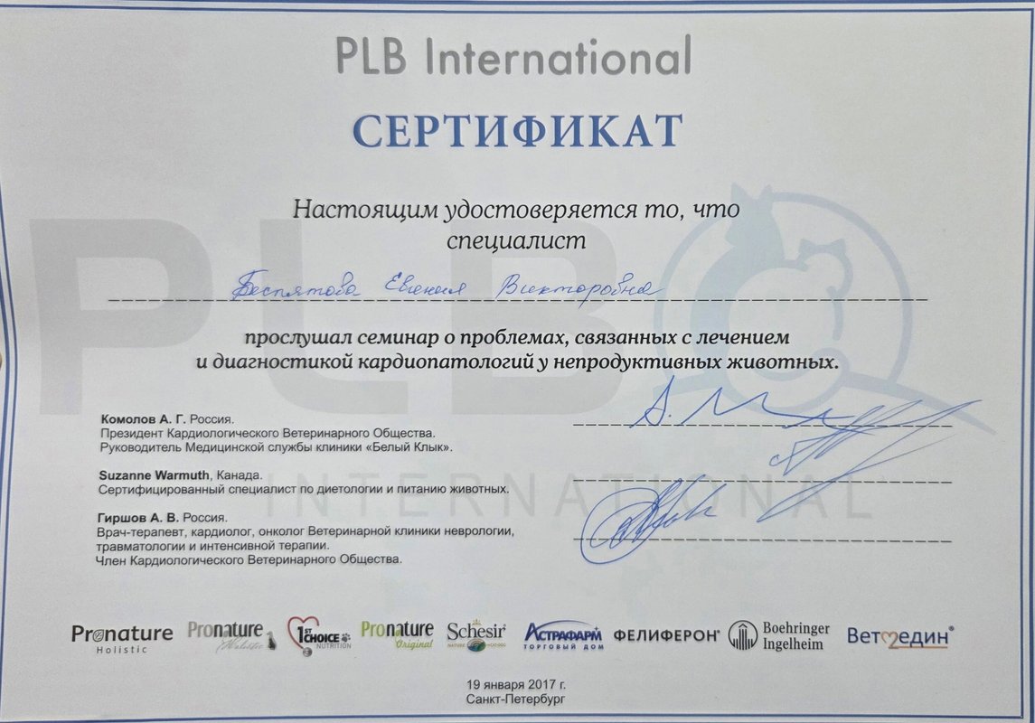 Документ или сертификат