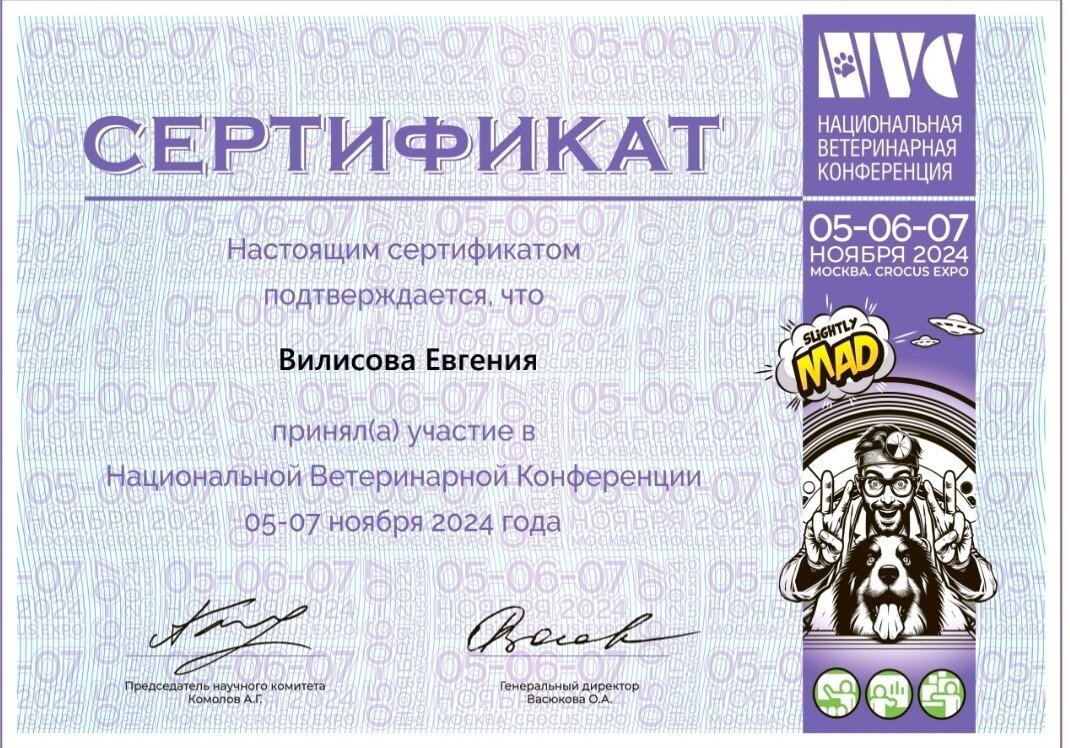 Документ или сертификат
