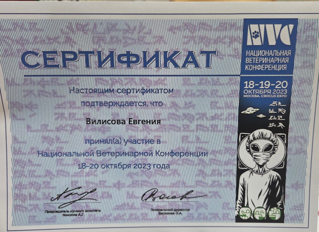 Документ или сертификат
