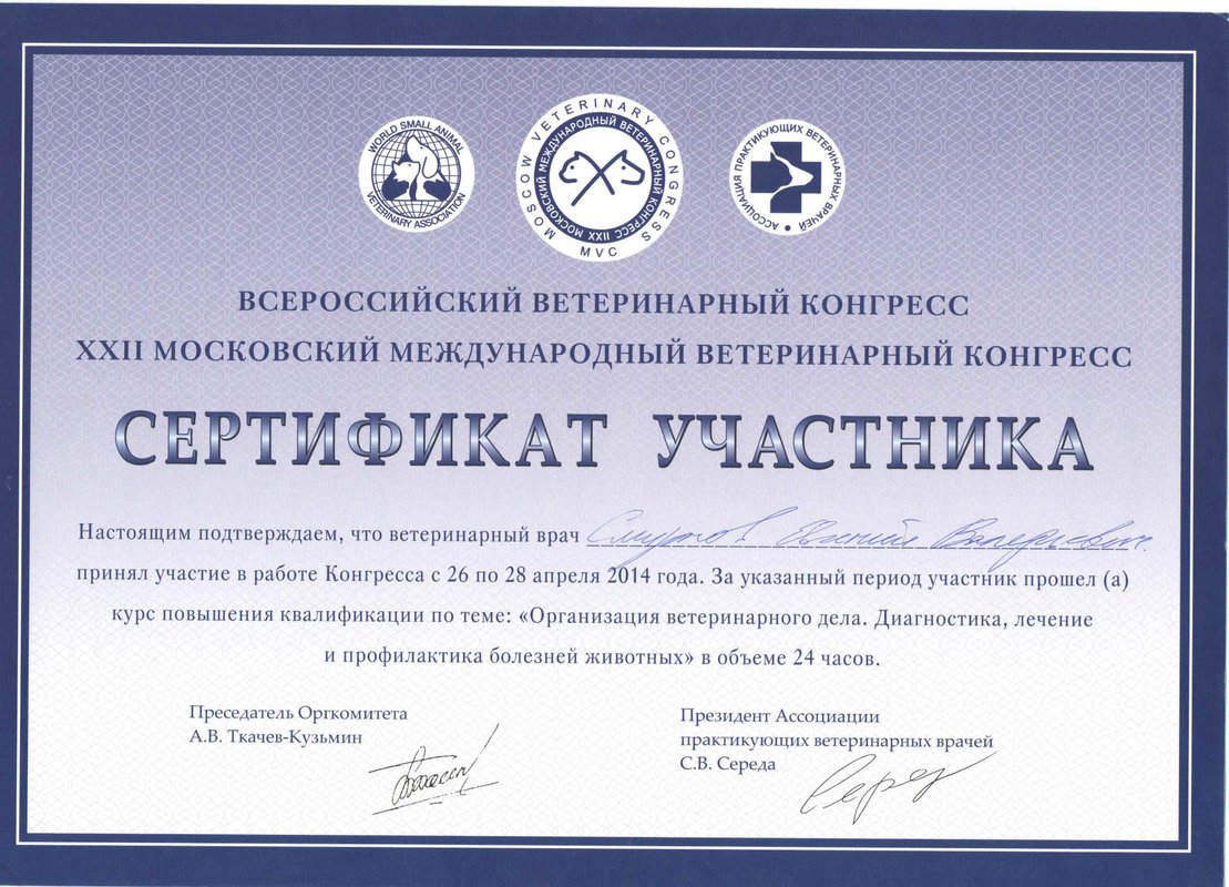 Документ или сертификат