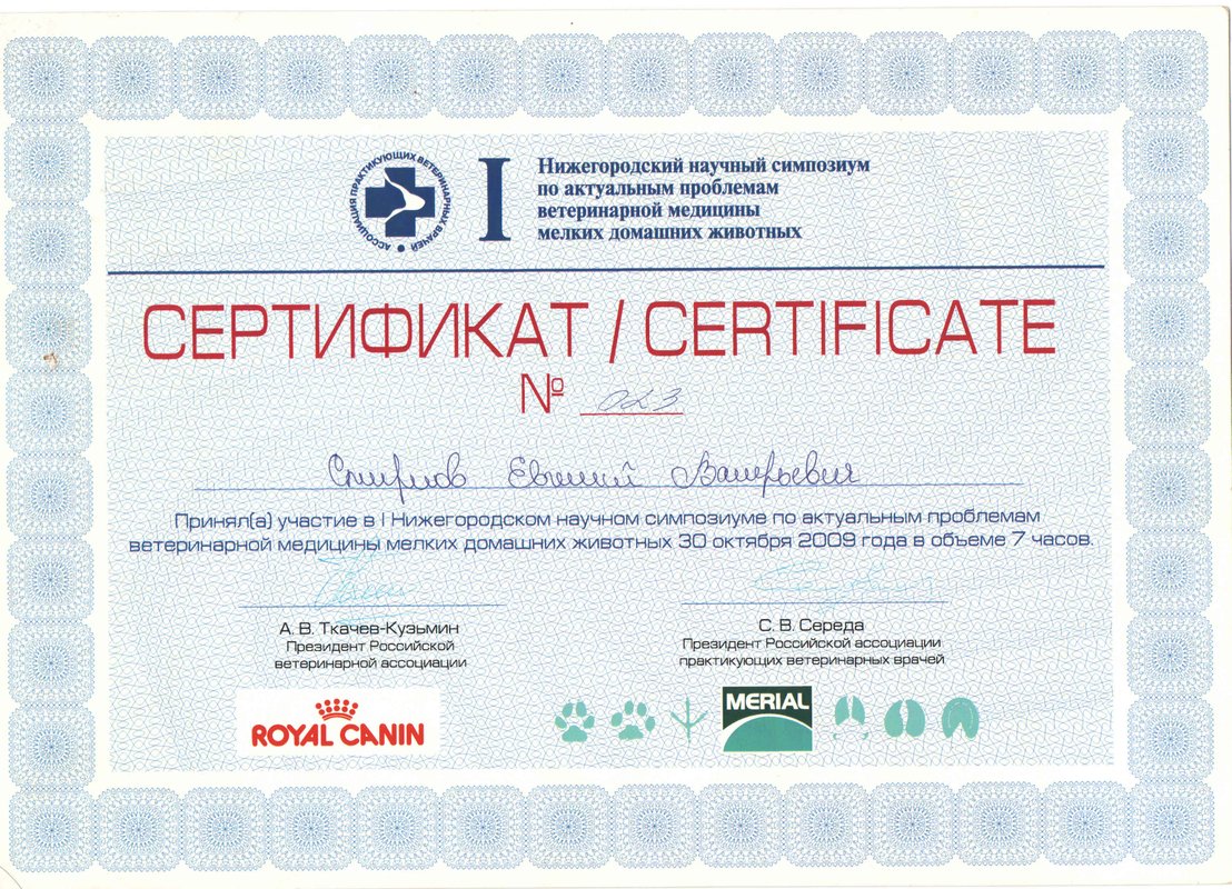 Документ или сертификат