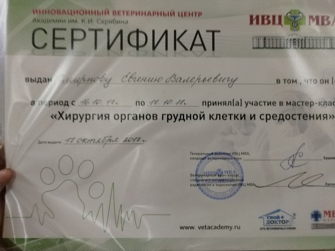 Документ или сертификат