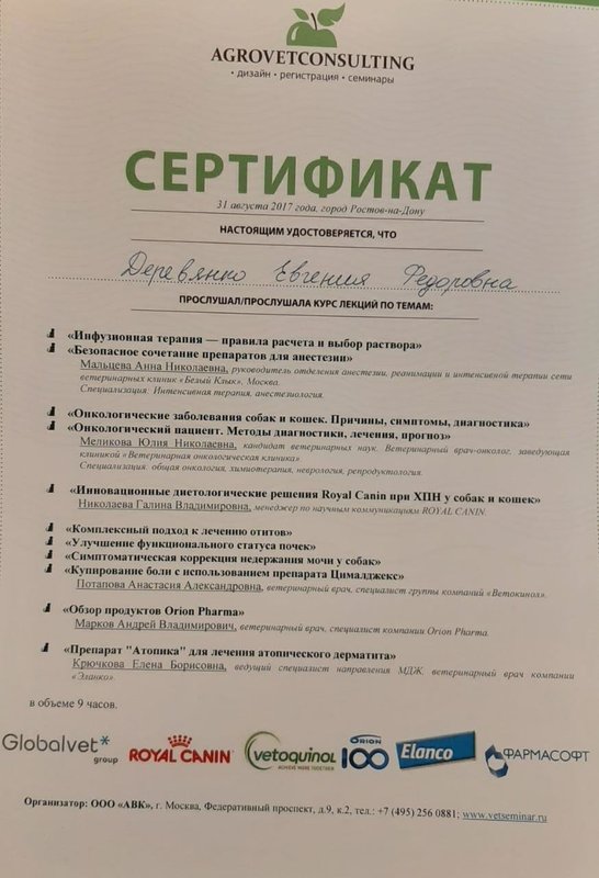Документ или сертификат