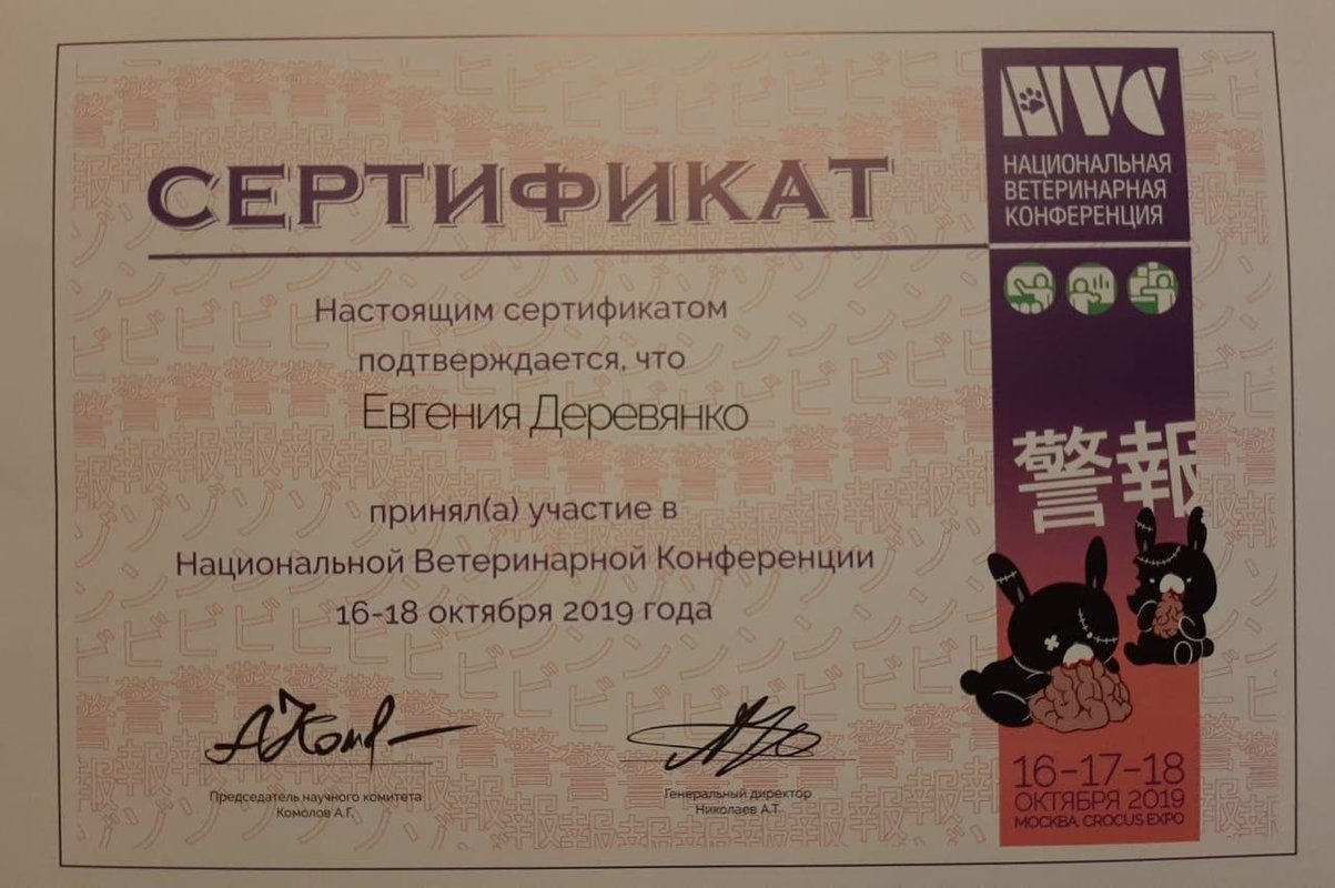 Документ или сертификат