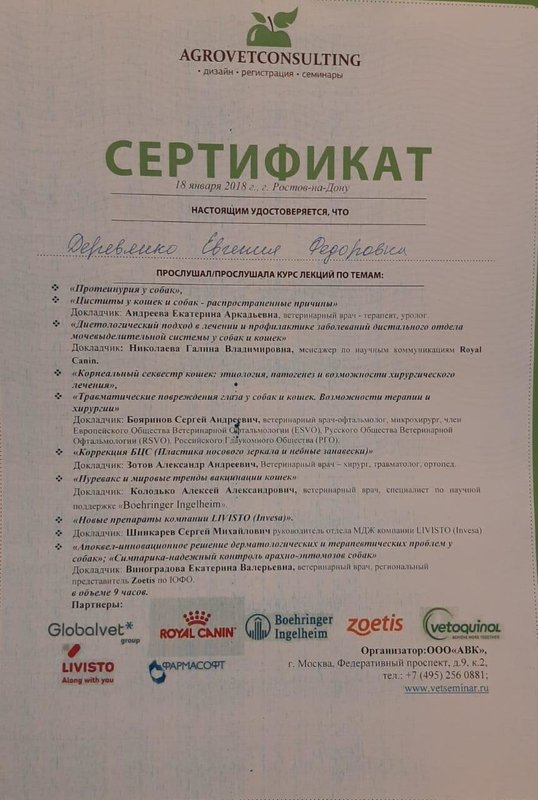 Документ или сертификат