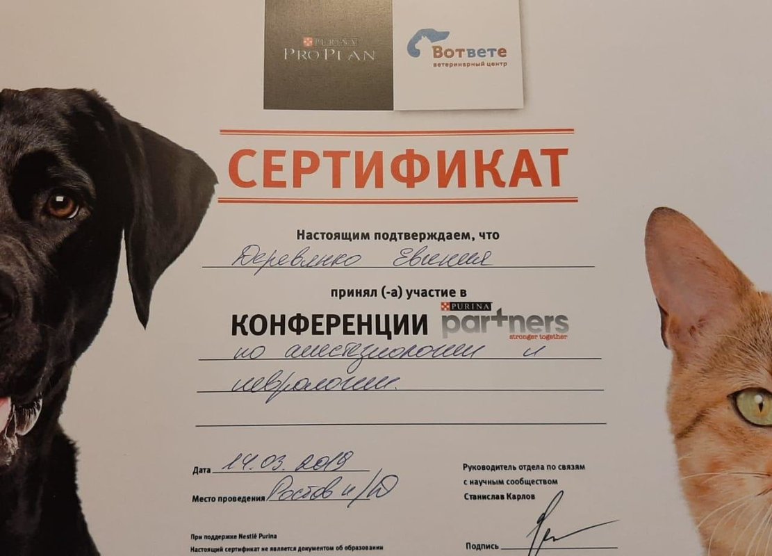 Документ или сертификат