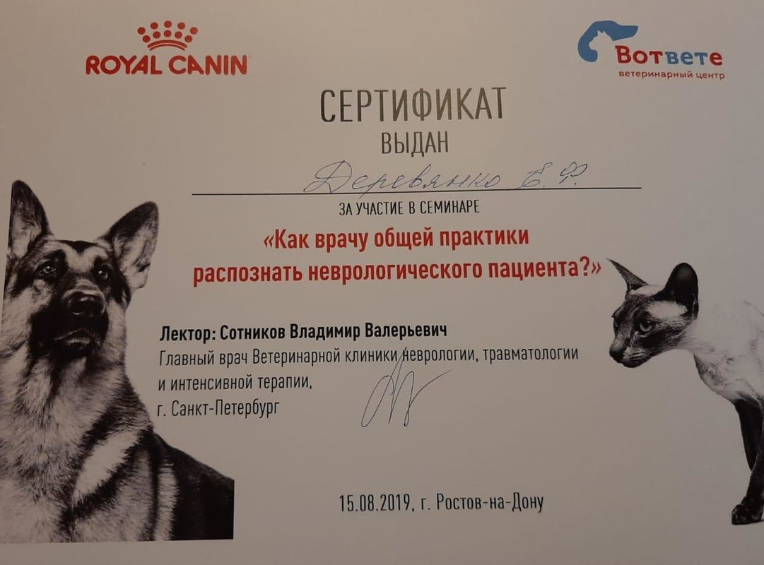 Документ или сертификат