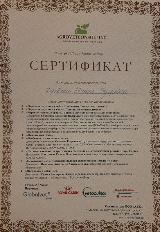 Документ или сертификат