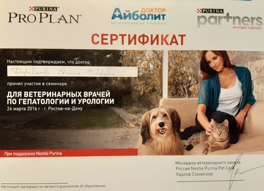 Документ или сертификат