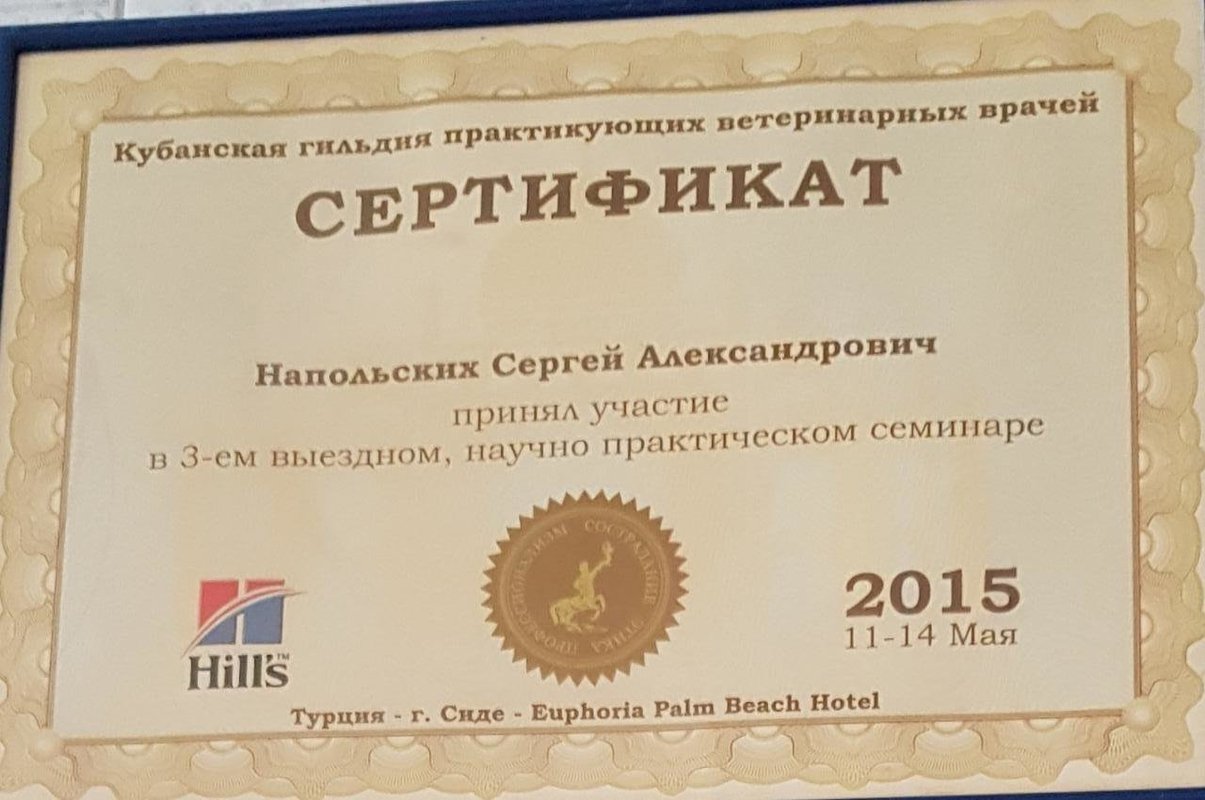 Документ или сертификат
