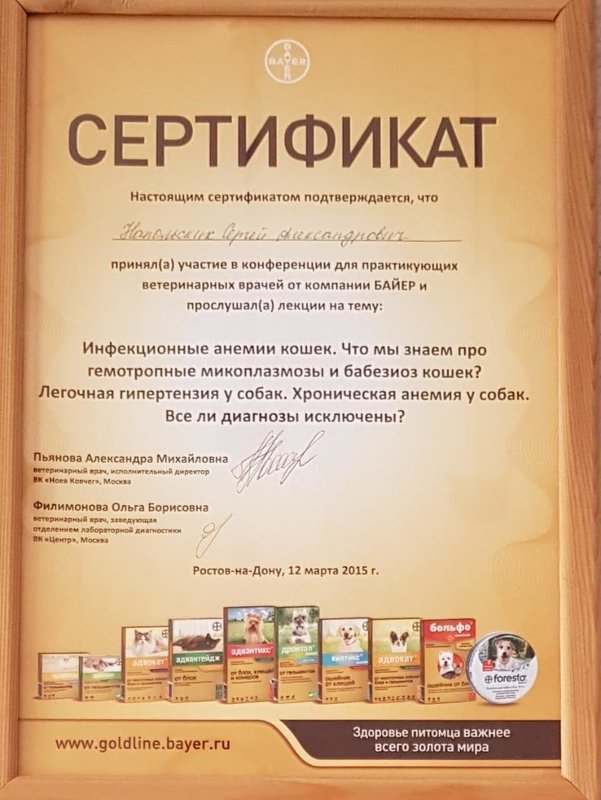 Документ или сертификат