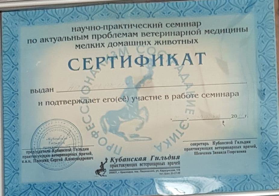 Документ или сертификат