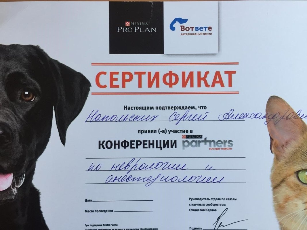 Документ или сертификат
