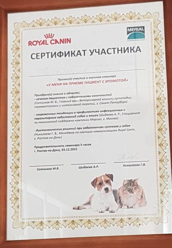 Документ или сертификат