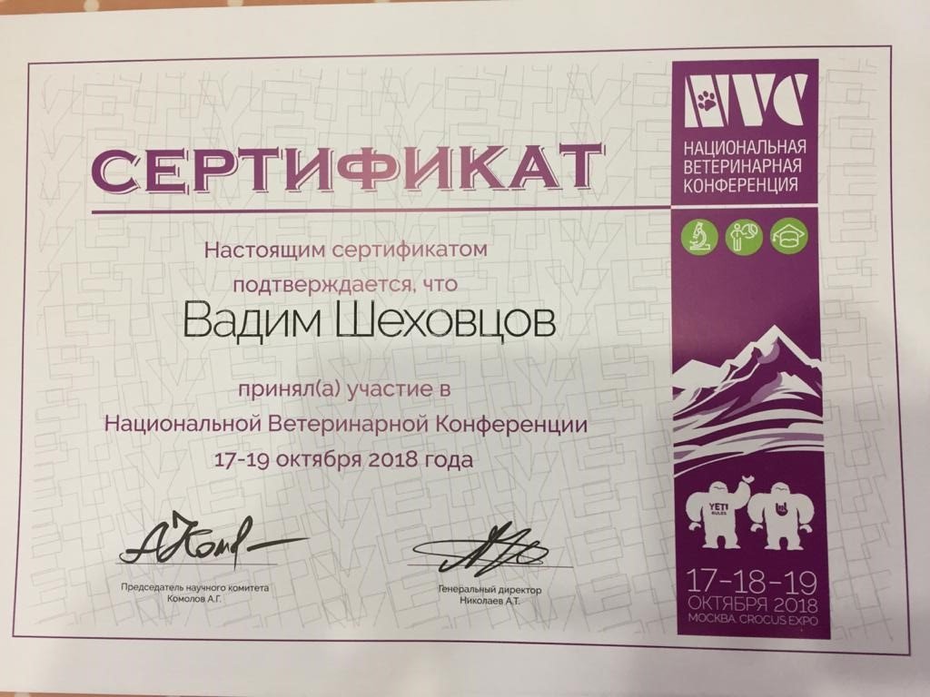 Документ или сертификат
