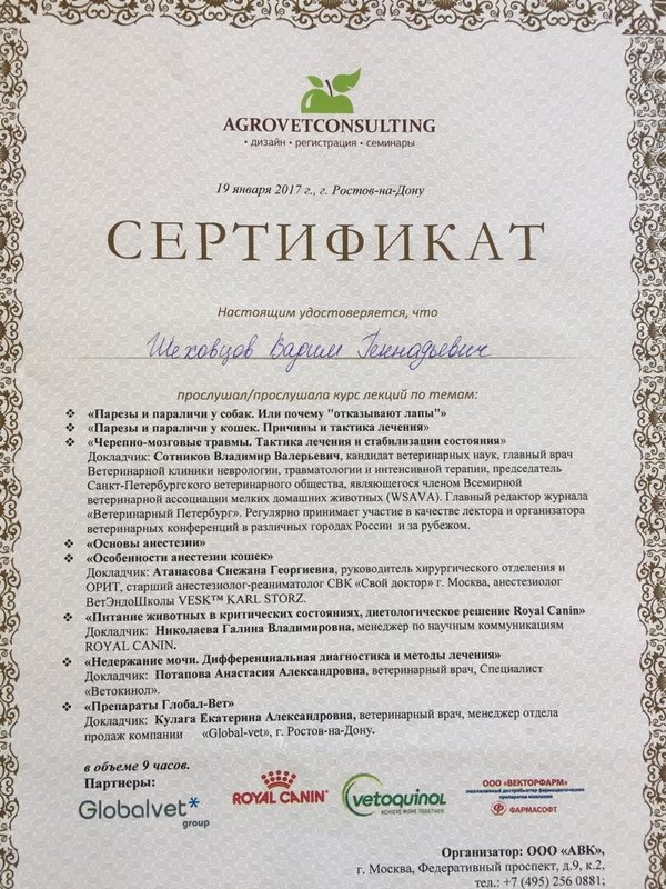 Документ или сертификат