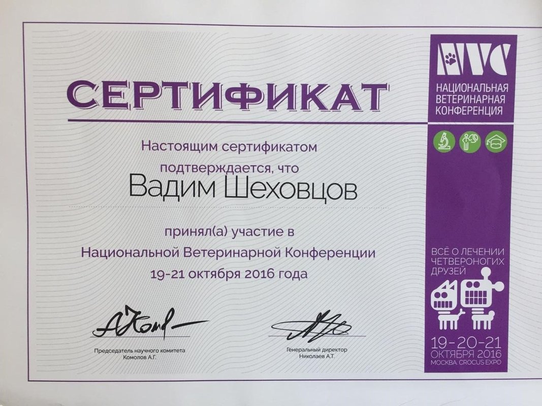 Документ или сертификат