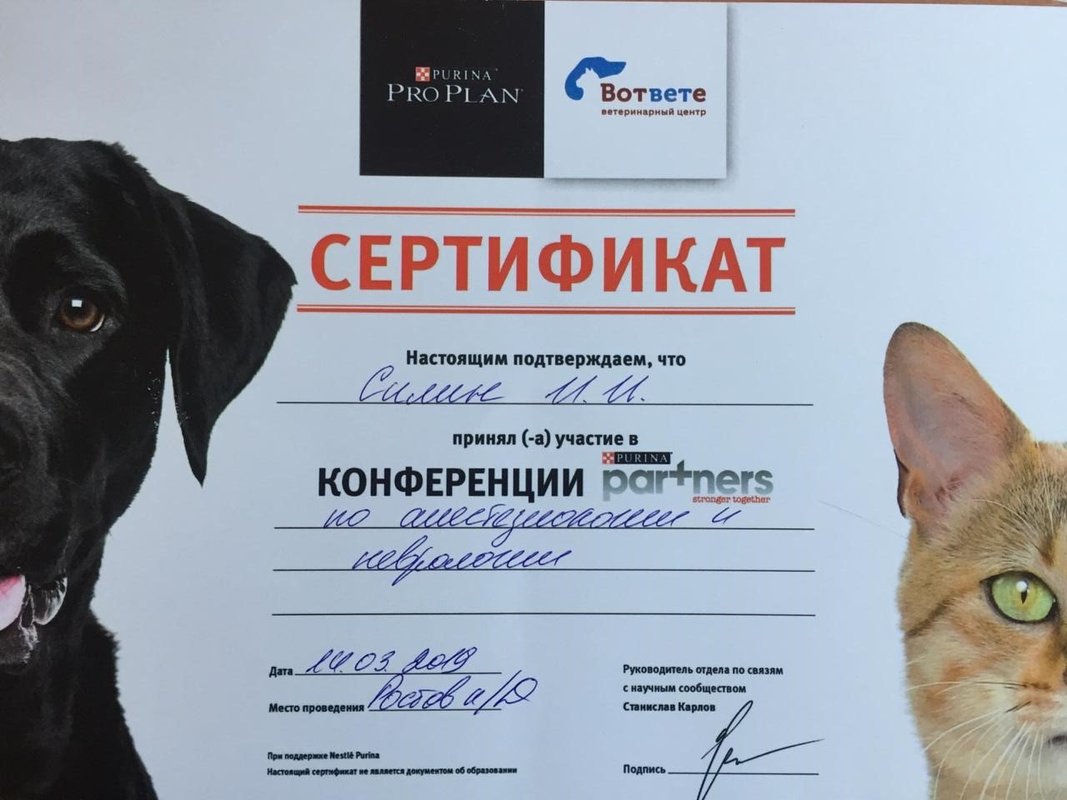 Документ или сертификат