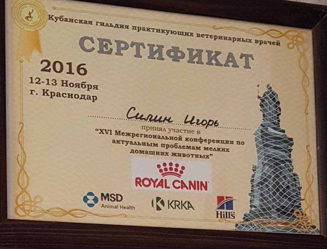 Документ или сертификат