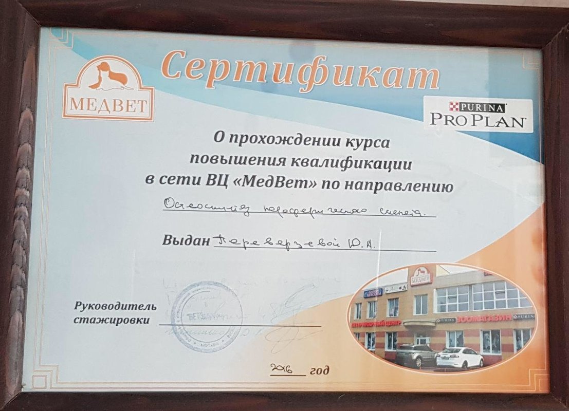 Документ или сертификат
