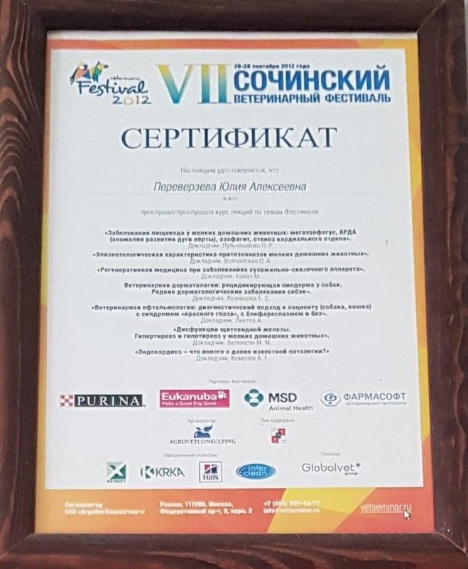 Документ или сертификат