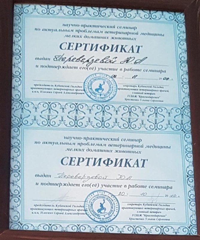 Документ или сертификат