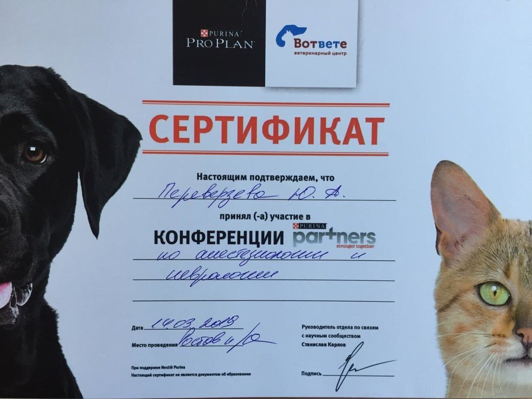 Документ или сертификат