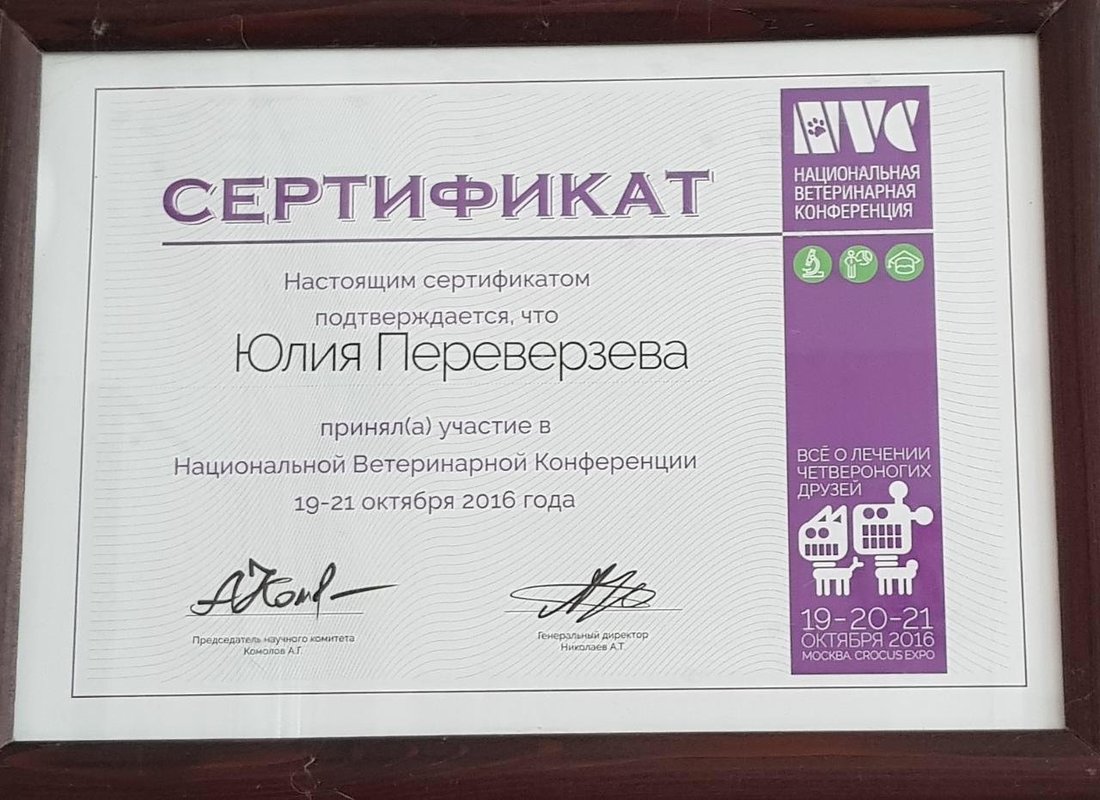 Документ или сертификат