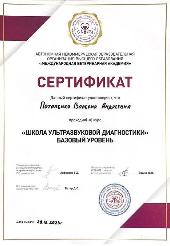 Документ или сертификат