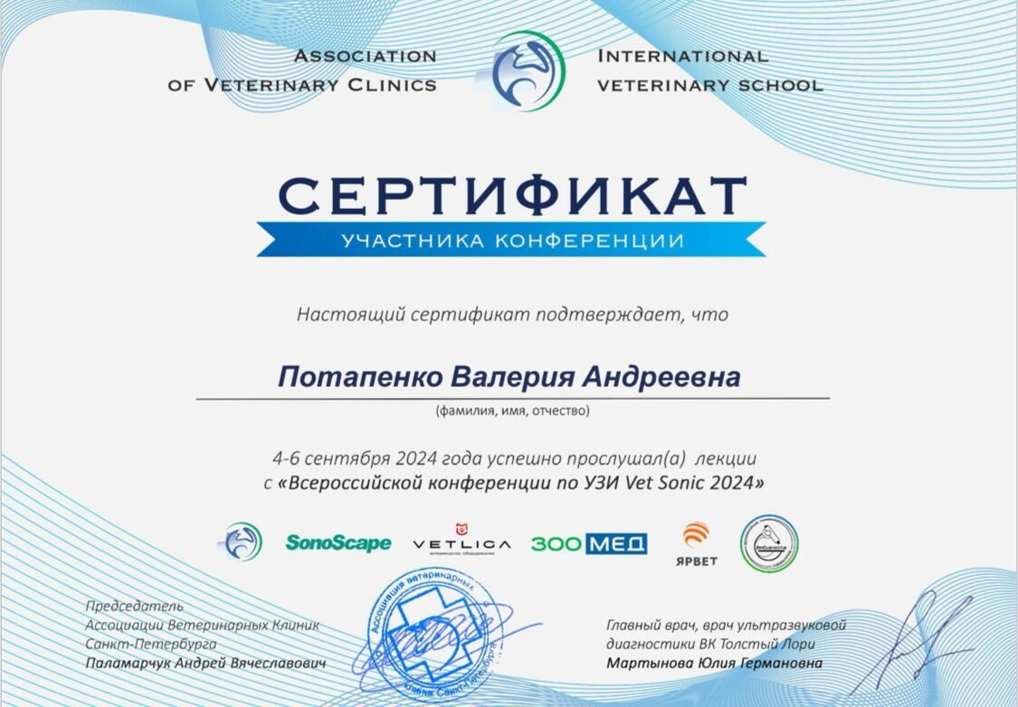 Документ или сертификат
