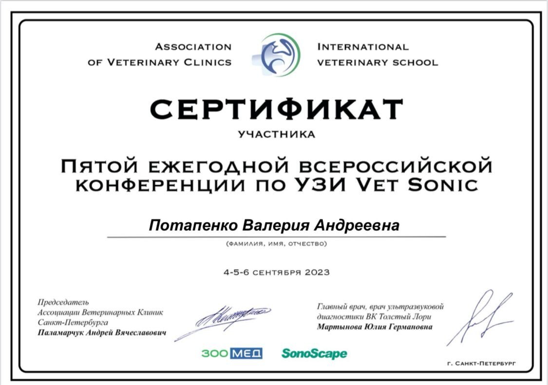 Документ или сертификат