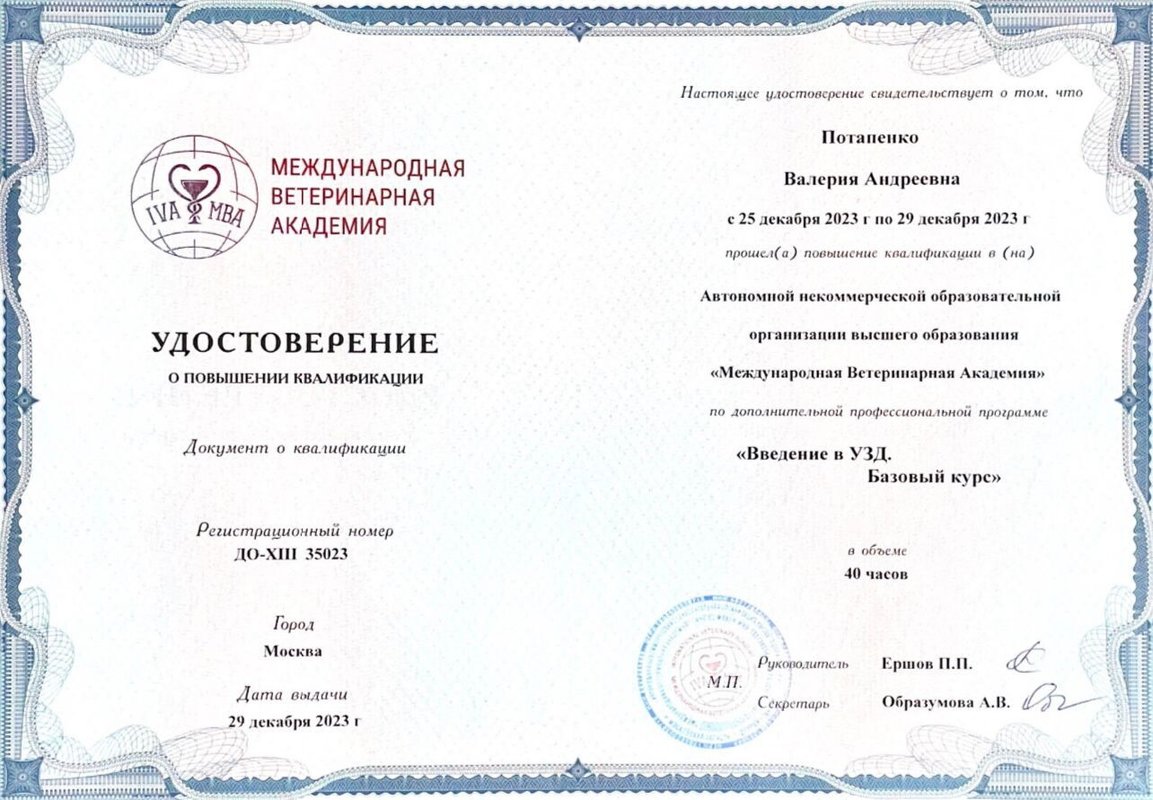 Документ или сертификат