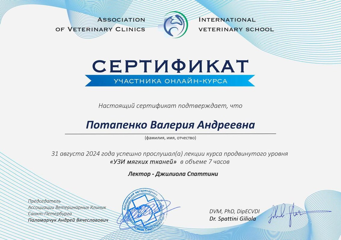 Документ или сертификат