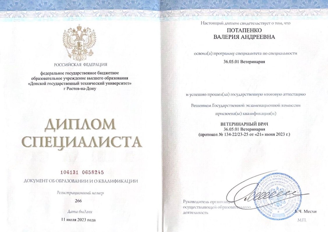 Документ или сертификат