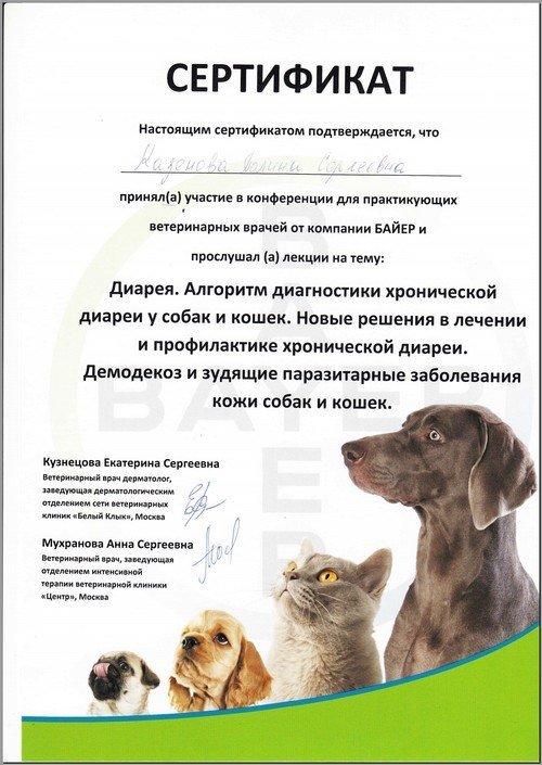 Документ или сертификат