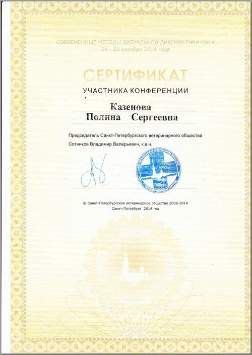 Документ или сертификат