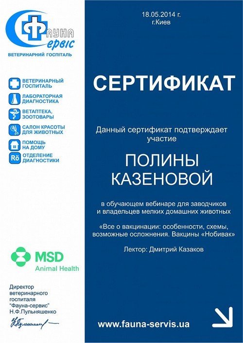 Документ или сертификат