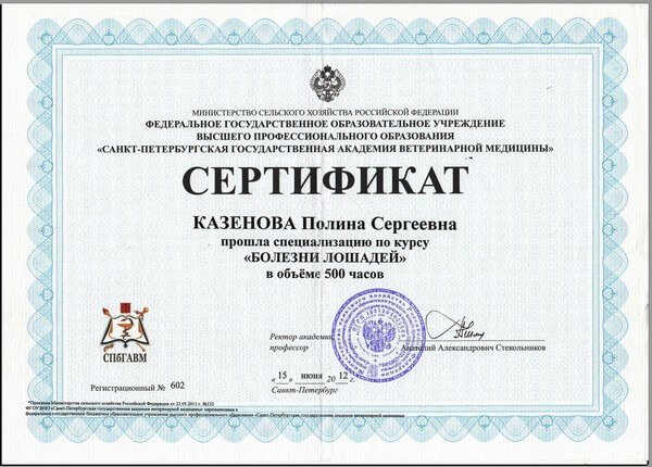 Документ или сертификат
