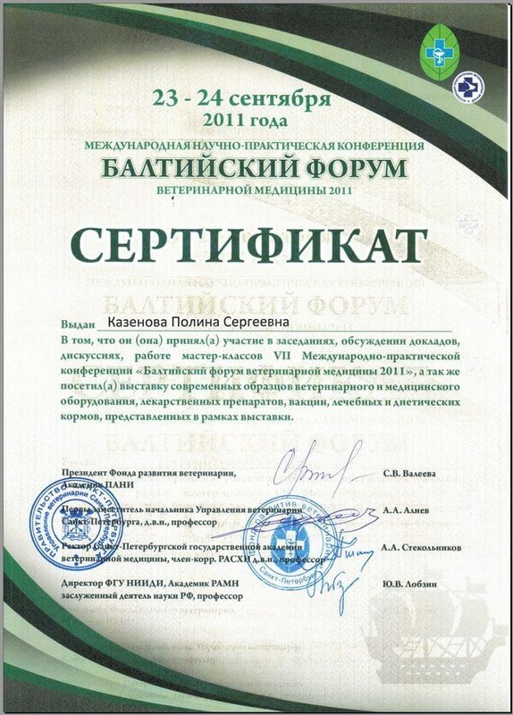 Документ или сертификат