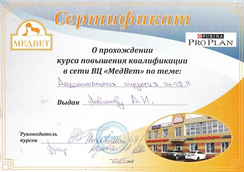Документ или сертификат