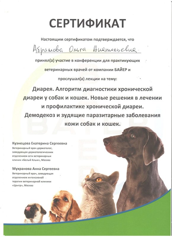 Документ или сертификат